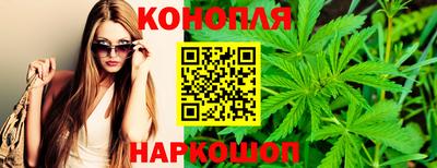 гидра Славянск-на-Кубани