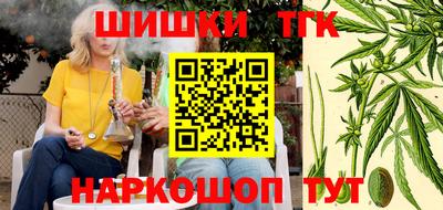 МДПВ Сланцы