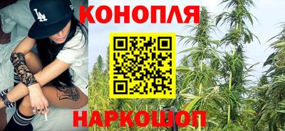 гидра Славянск-на-Кубани