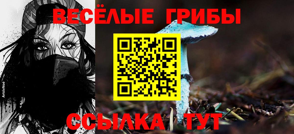 Новочеркасск  Галлюциногенные грибы Magic Shrooms  Вход с VPN 